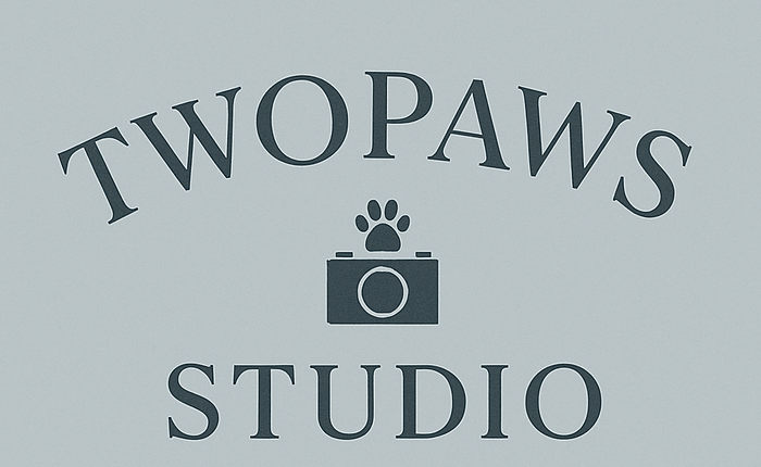 Two Paws Film Studio